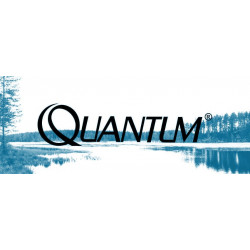 Quantum