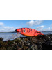 Letzter Artikel: Grandma Hot Orange Tiger Deep Runner 15cm