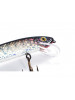 Grandma Silver Holo Shallow Runner 19cm