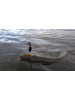 Lindy River Rocker Set