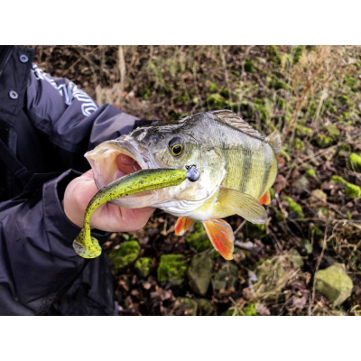 5 Quantum 4Street B-Ass Shad Golden Ice 11cm