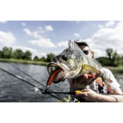 5 Quantum 4Street B-Ass Shad Chartreuse 11cm